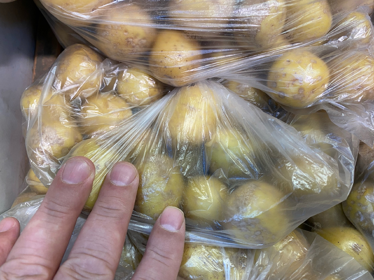 Дадим стране картошки - мелкой, но много. Фото автора. 