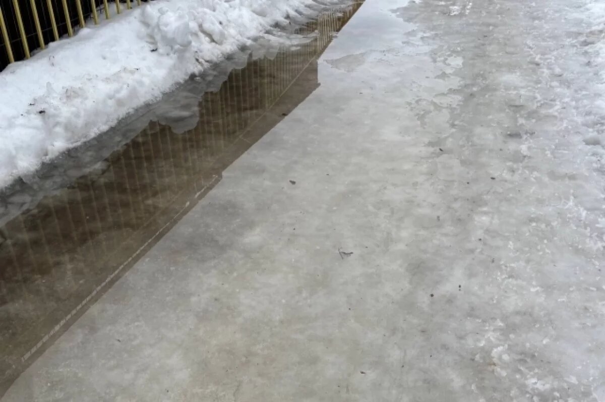    Рязанскую область ожидают крепкие ночные морозы и сильная гололедица