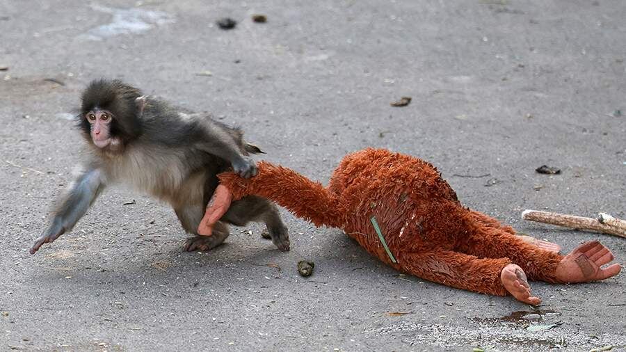    Фото: REUTERS/Kim Kyung-Hoon