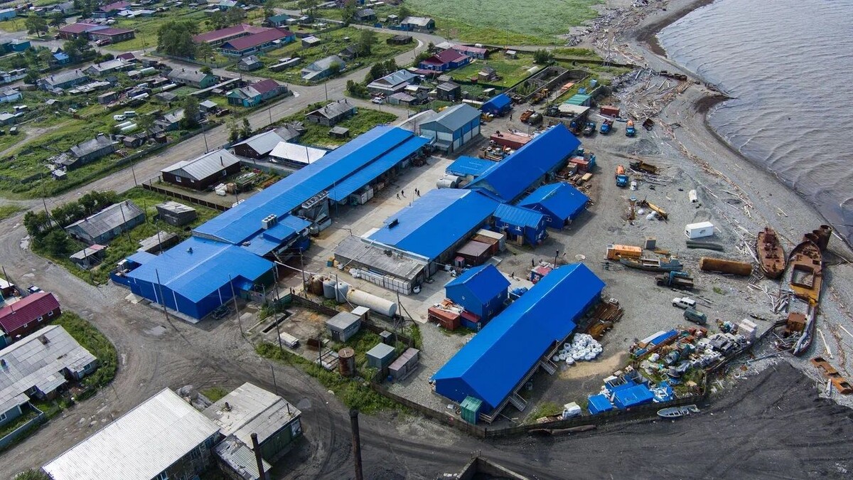 Сложно поверить, что человек случайно дважды таскает чемоданы деликатесов,  которые на рынке стоят больше месячной зарплаты среднестатистического  хабаровчанина.
