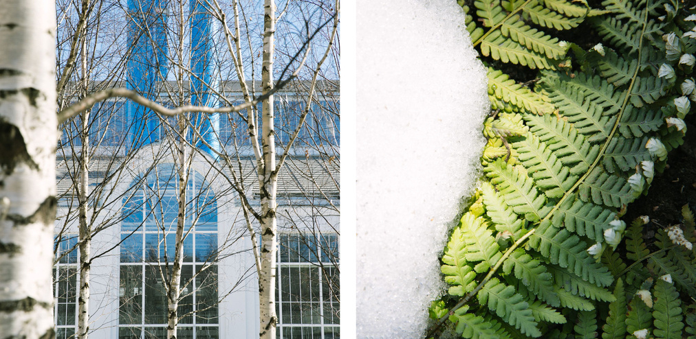 Фото предоставлено пресс-службой "ГЭС-2"