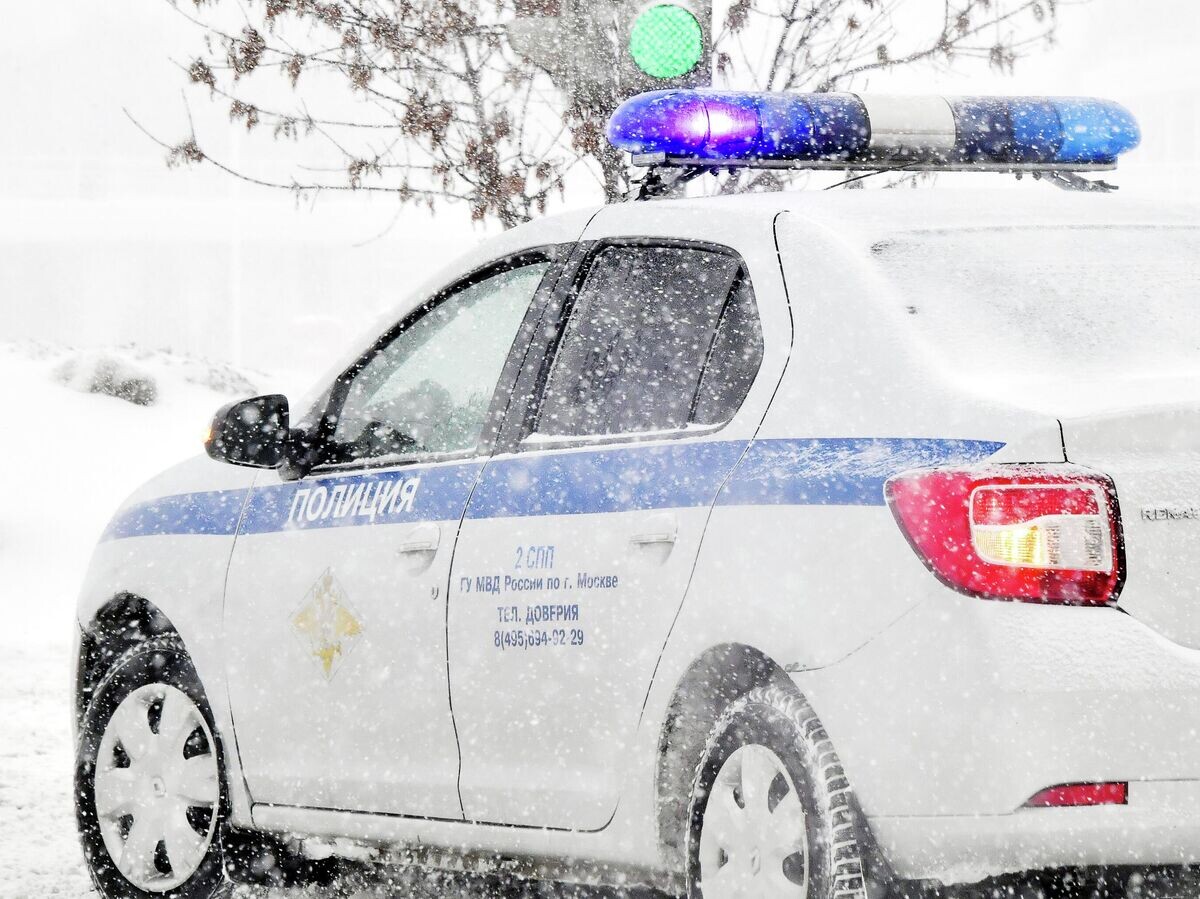    Автомобиль полиции в Москве | © РИА Новости / Наталья Селиверстова