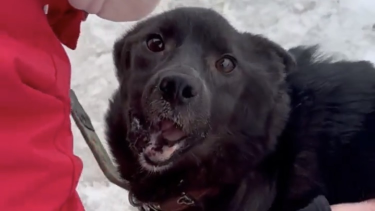 Оливии поставили пластины, 4-я операция