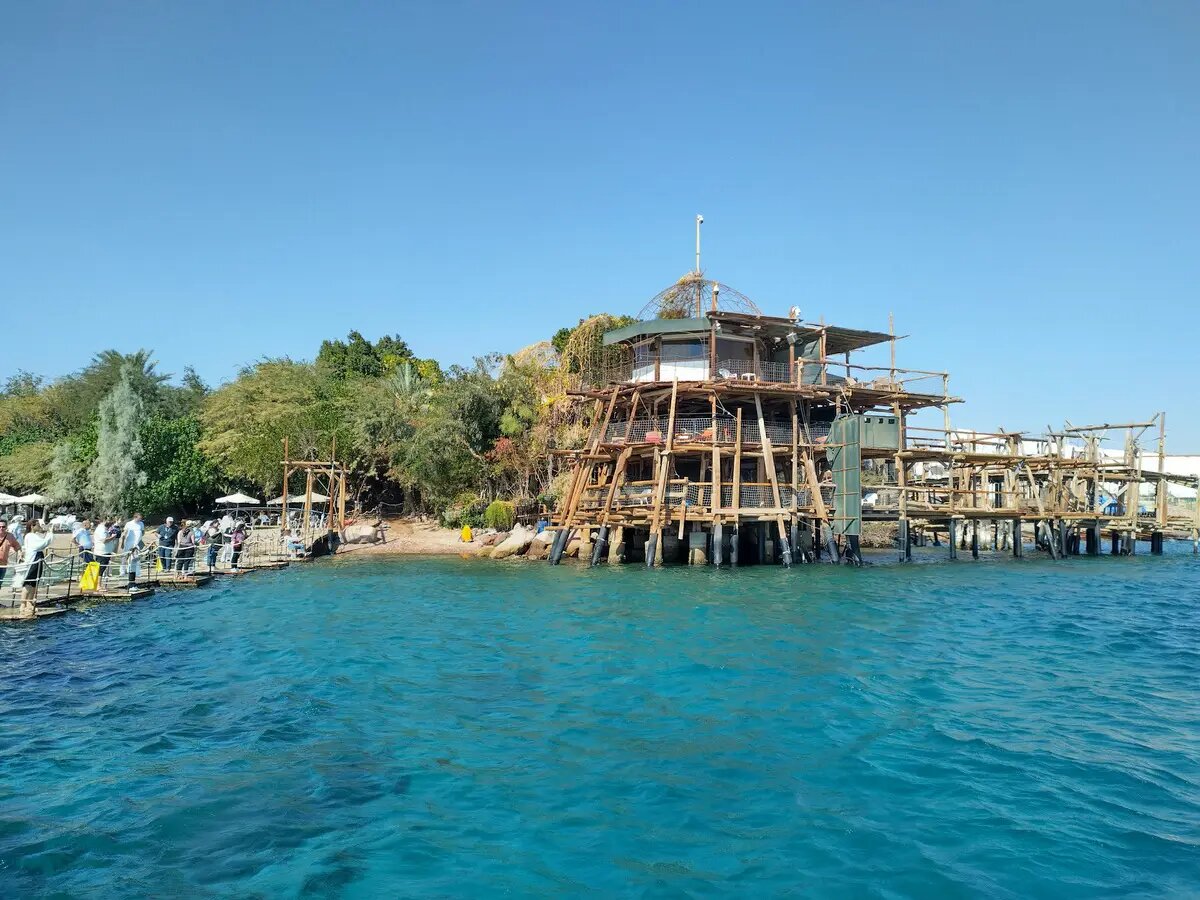     © "Интерфакс". Сюзанна Лотфи