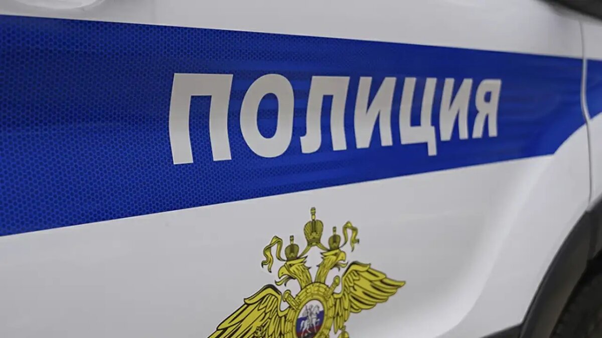    Полиция. © Портал «МВД Медиа»