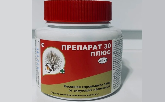 Сад и огород в марте: что нужно сделать на даче в первый весенний месяц. 
