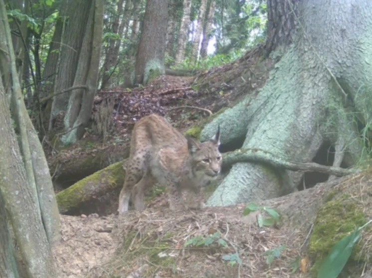     фото: Екатерина Власова