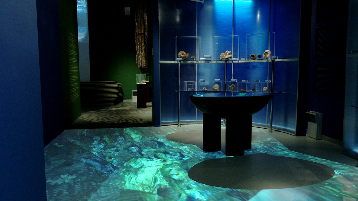 На выставке можно узнать, как зародился климат и география региона