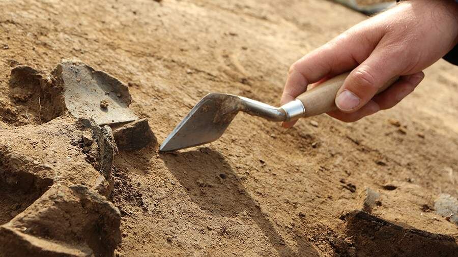    Фото: Global Look Press/Matthias Bein