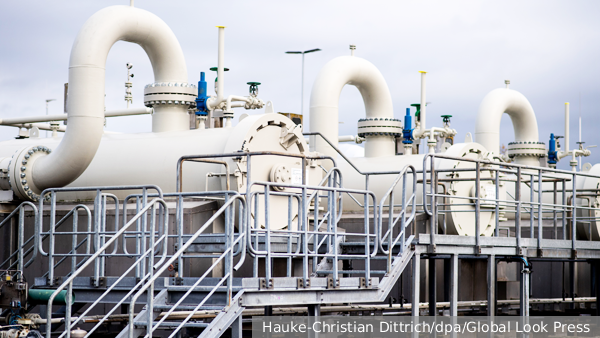     Фото: Hauke-Christian Dittrich/dpa/Global Look Press   
 Текст: Мария Иванова