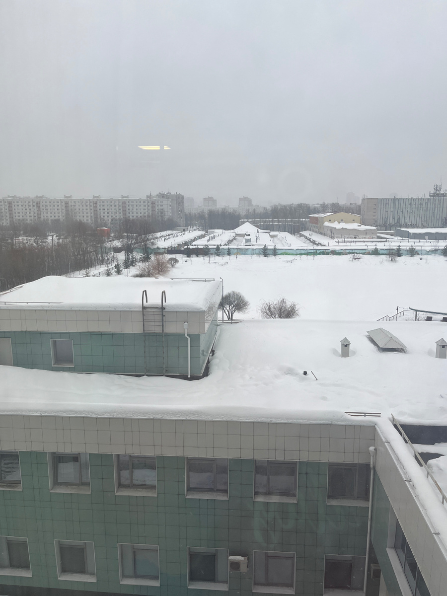 Весенний вид из окна)