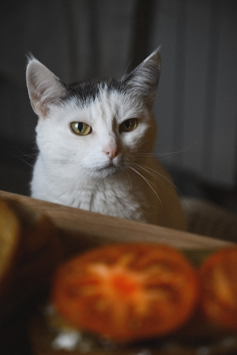 Фото Анна Гончар 