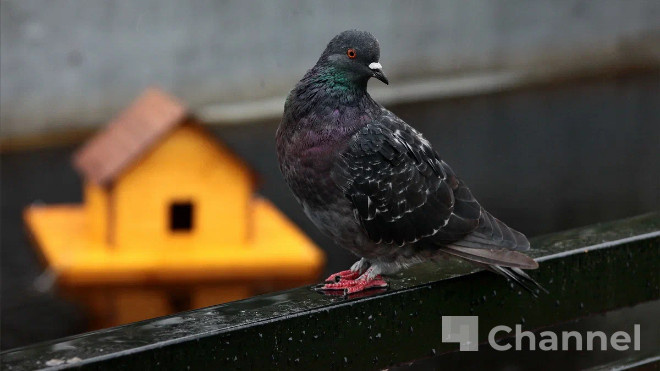 Фото: Анастасия Илюшина/47channel, архив