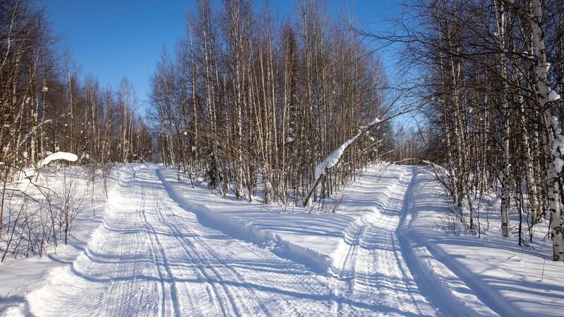    Фото: Федор Воронов/«Ямал-Медиа»