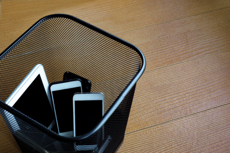    Фото: BoonritP/shutterstock