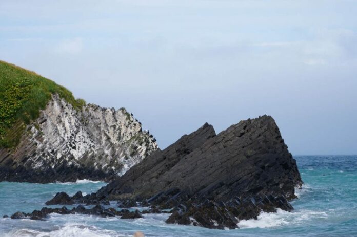 Фото: Департамент информационной политики Свердловской области