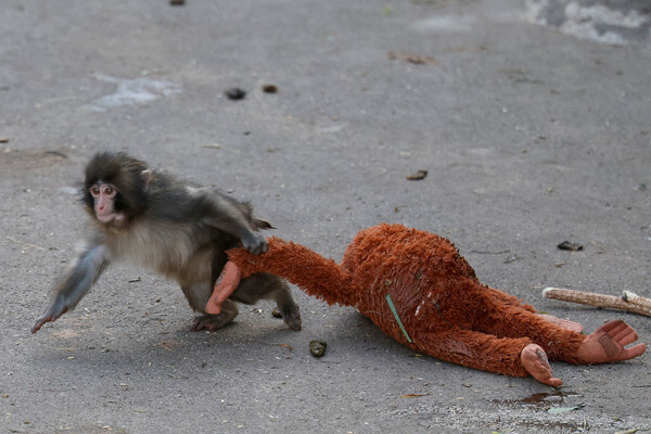 Kim Kyung-Hoon/Reuters   📷