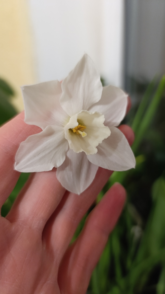 Mount Hood сначала был непохож на самого себя ))