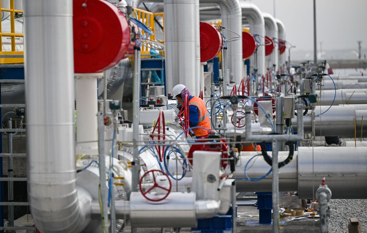     / Источник: © Global Look Press