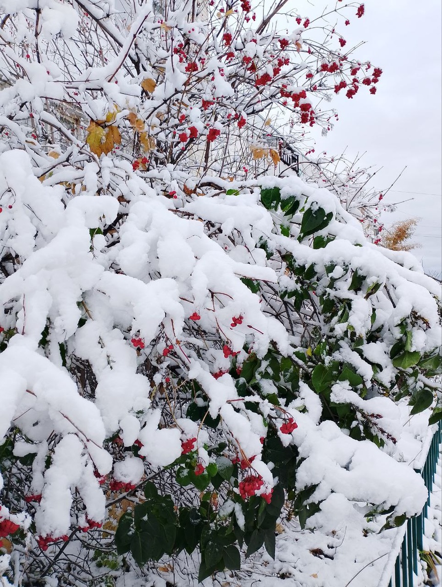 Вот так живописно начиналась зима...
