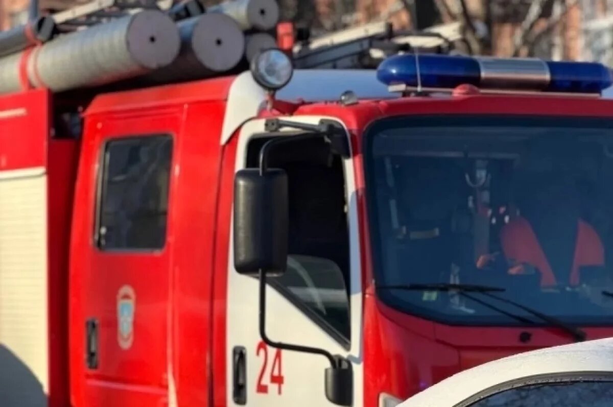    В Петербурге горел дом, в котором жили родители Пушкина. Есть погибший