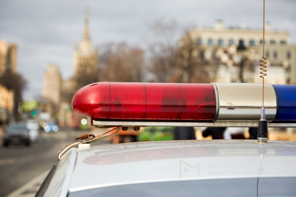 Фотограф: Дмитрий Белицкий