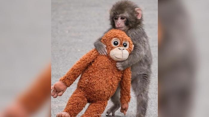 Обложка © Instagram (признан экстремистской организацией и запрещён на территории Российской Федерации)/ rhymesports