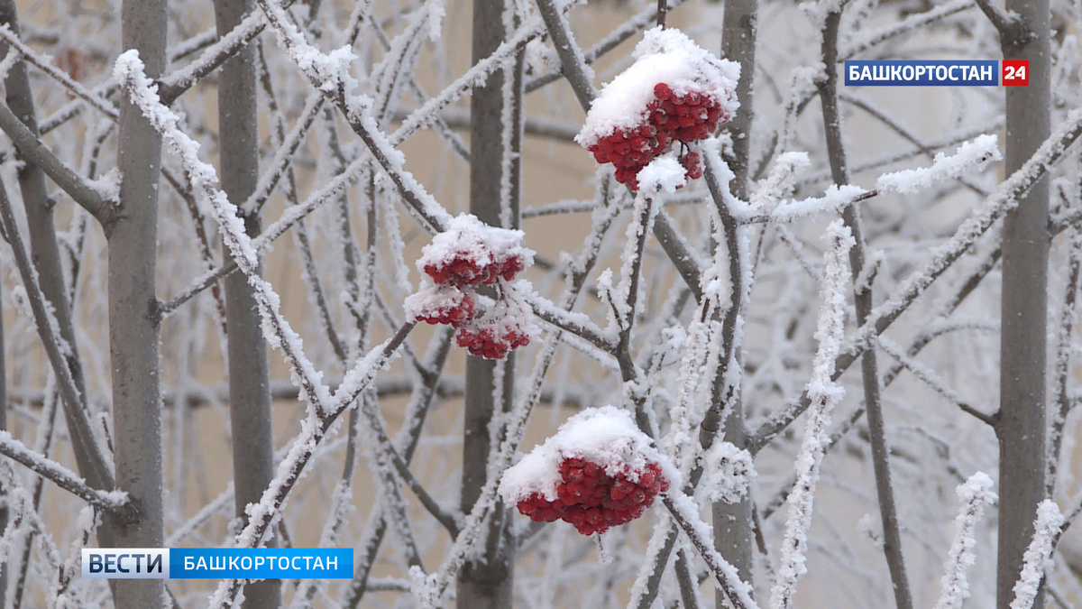    В селе Старый Сибай благоустроят территорию у Дома культуры