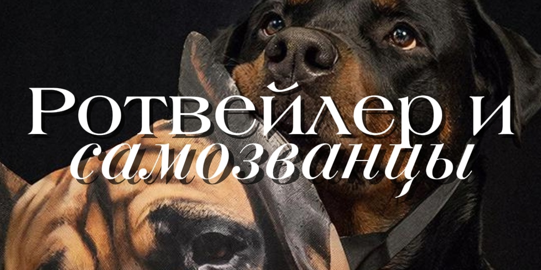 Двойники ротвейлера: пять пород, которые постоянно путают с немецким гигантом