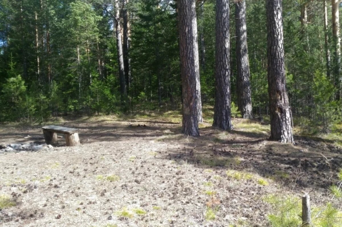    В Карелии собираются перенести сроки весенней охоты на водоплавающих птиц