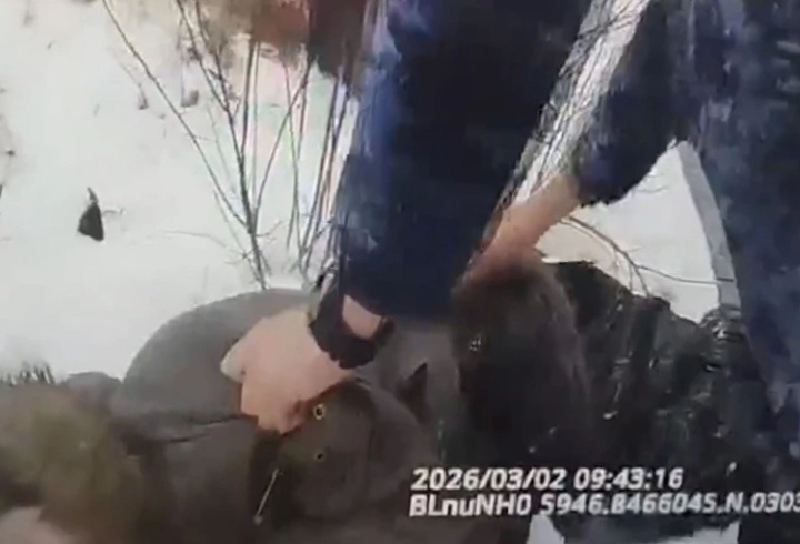 фото: Пресс-служба ФГКУ "УВО ВНГ РФ по г.СПб и ЛО"