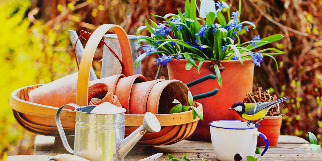 Работы в Марте: огород, сад, цветник