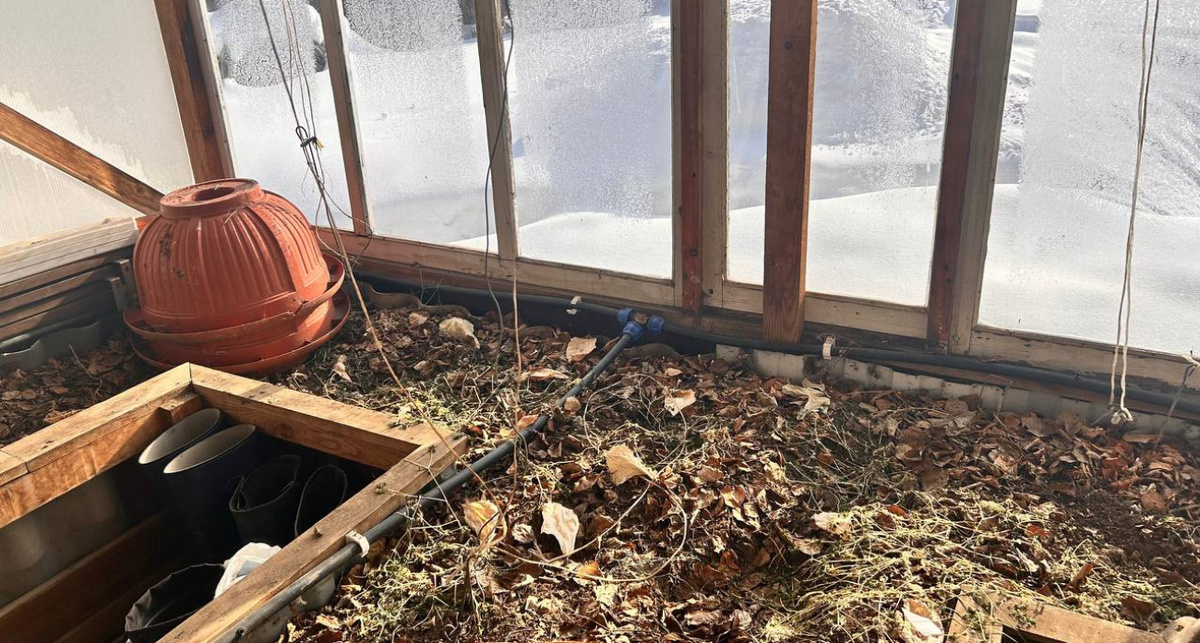    Фото: ПроГород