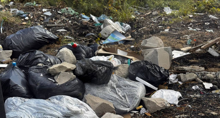    Первый городской канал Калининград