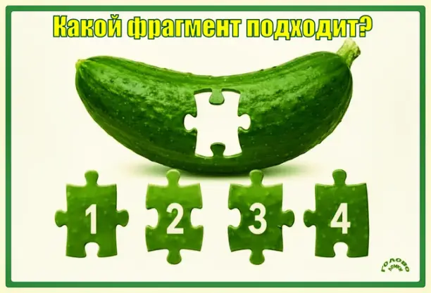 🧩 Пространственное мышление: какой фрагмент пазла подходит к картинке с огурцом?