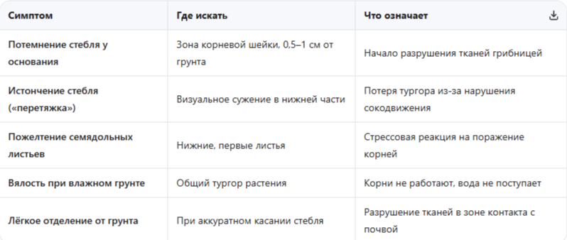 Визуальные маркеры начальной стадии