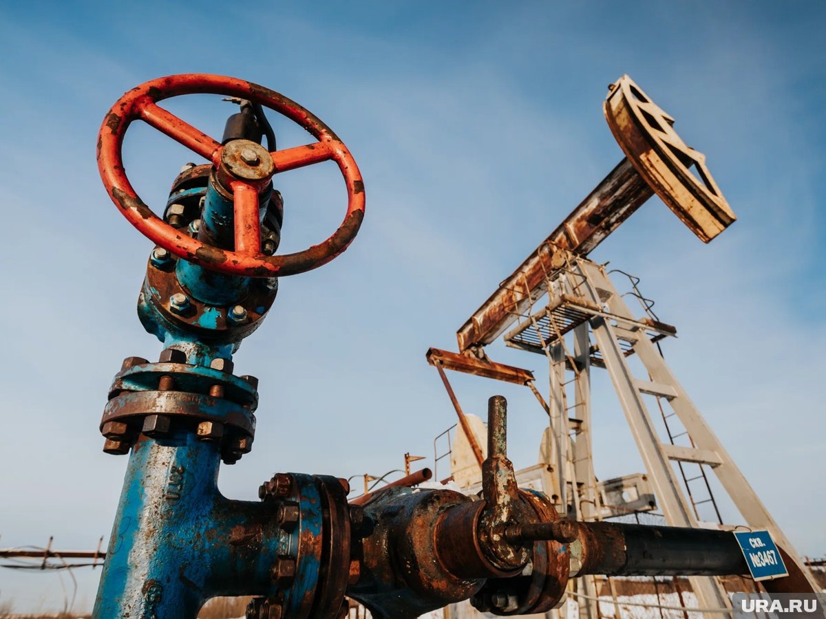     ЕК направила в Киев просьбу предоставить доступ к нефтепроводу, чтобы оценить ущерб