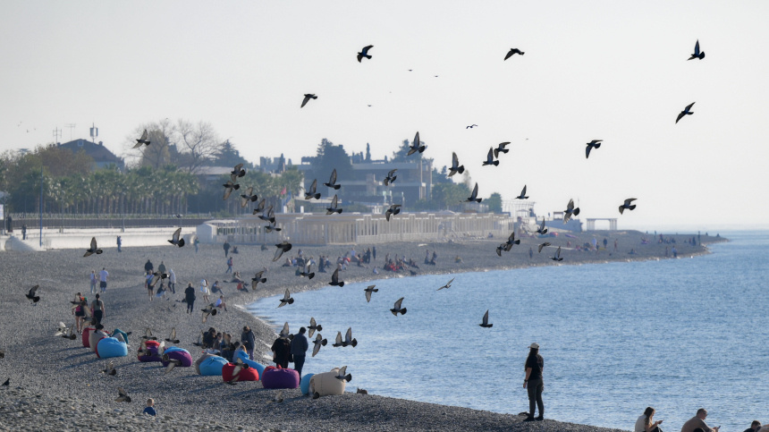    Фото: © РИА Новости/ Кристина Кормилицына