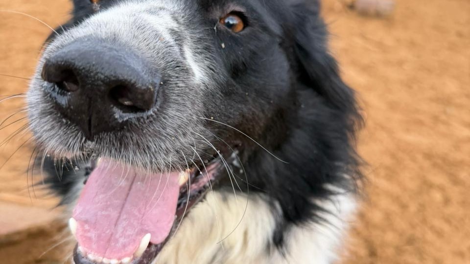 Гвидон — энергия, запертая в приюте.