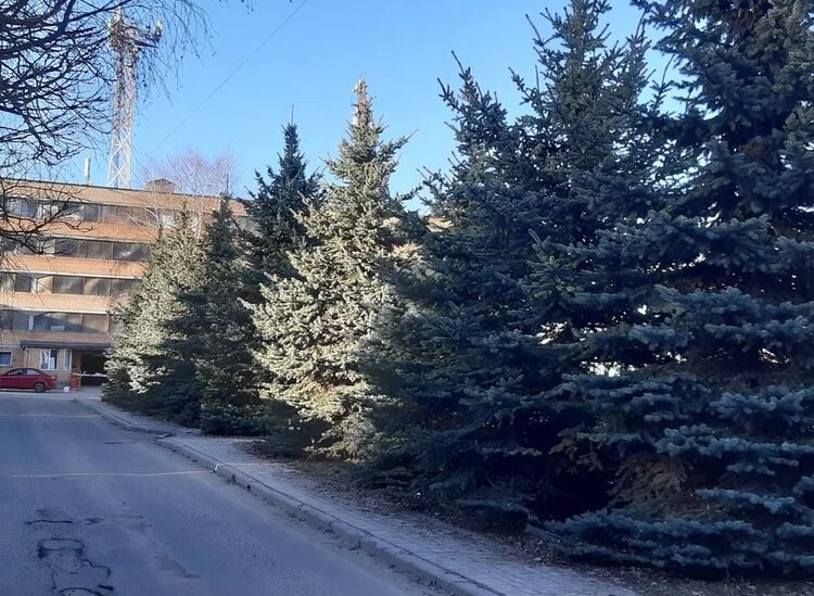    Фото: Лукьянов Дмитрий, AgroXXI.ru