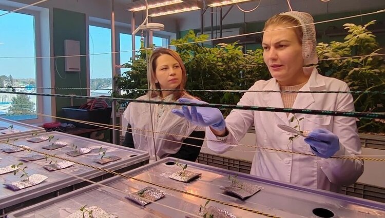    Фото: Аграрный центр Томской области