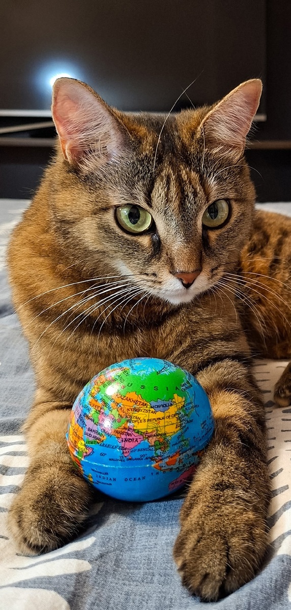 иллюстрация из яндекс картинки.