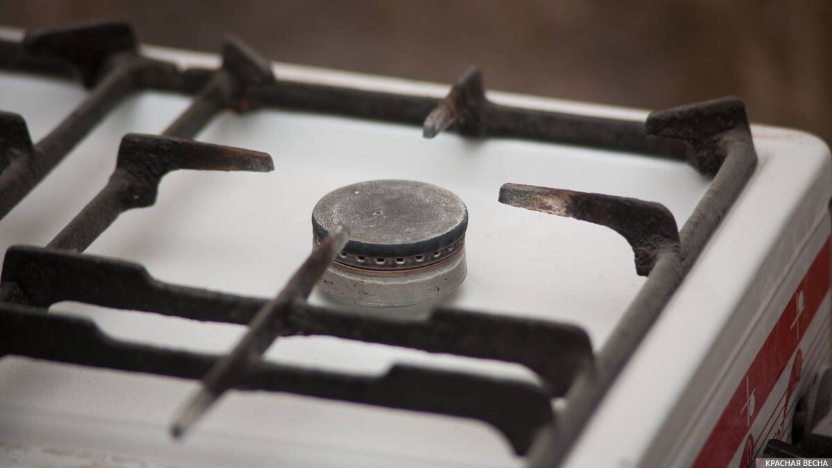     Газовая конфорка   
Владимир Чичилимов © ИА Красная Весна