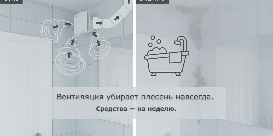 Плесень в ванной, средство чем убрать, как избавиться в ванне от чёрной, грибка, в швах: Чек-лист