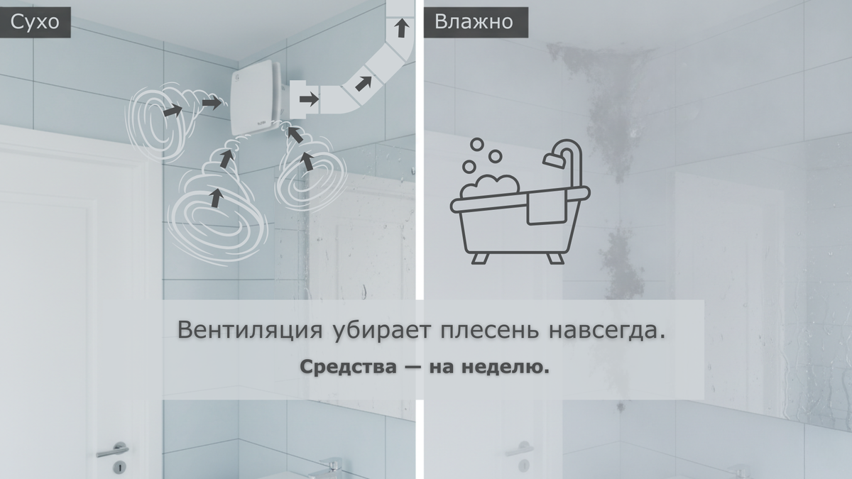 Борьба с плесенью — это не химия, это физика. Организуйте циркуляцию воздуха, и грибок с плесенью не будут образовываться, лишившись среды обитания. 