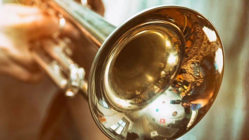    Фото: Proshkin Aleksandr / Shutterstock / Fotodom