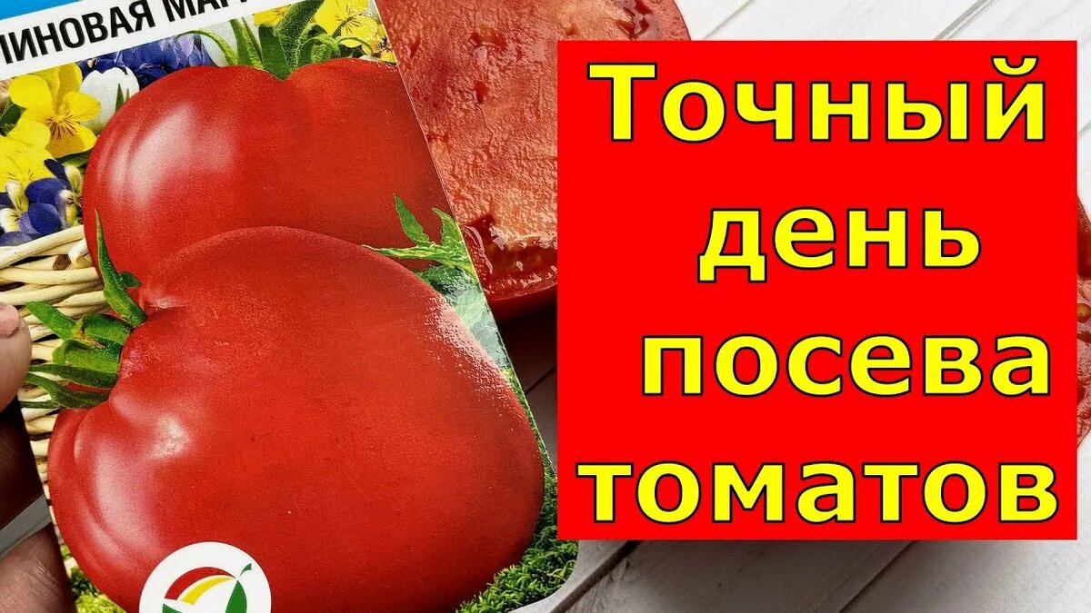 Когда сеять томаты на рассаду в марте: точные сроки по лунному календарю и регионам