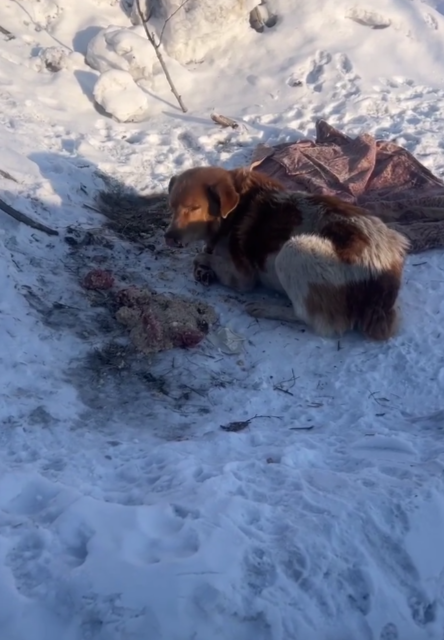 Таким мы впервые увидели будущего Лучика 