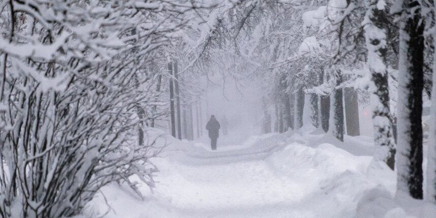    Алена Бобрович