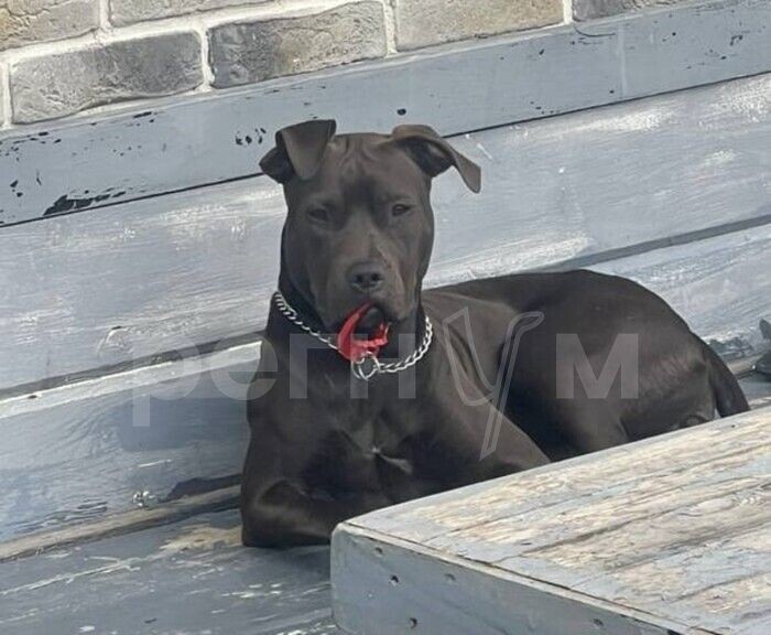     / Источник: Социальные сети